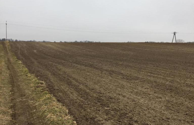 Działka 1.84ha Tomaszowice- Kolonia