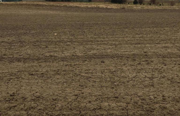 Działka 1.84ha Tomaszowice- Kolonia