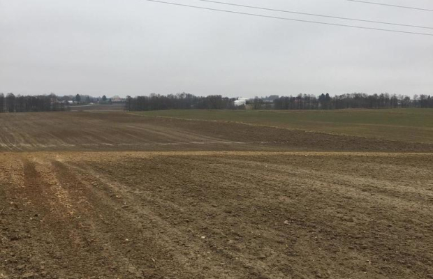 Działka 1.84ha Tomaszowice- Kolonia