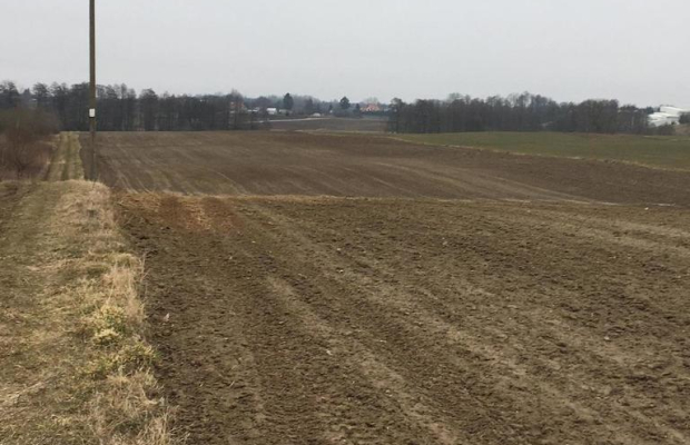 Działka 1.84ha Tomaszowice- Kolonia