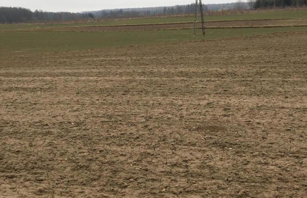 Działka 1.84ha Tomaszowice- Kolonia