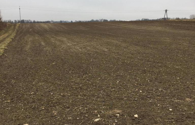 Działka 1.84ha Tomaszowice- Kolonia