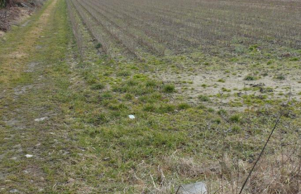 Działka w doskonałej lokalizacji-5 min. od Zalewu