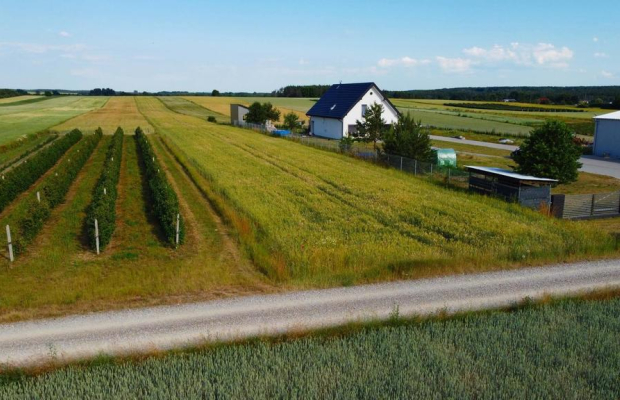 Borów Kol. Duża działka z możliwością uzyskania WZ