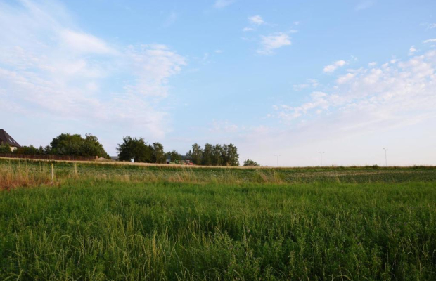 Jakubowice Konińskie- gm. Niemce, działka budowlana o powierzchni 2239 m2. Doskonała lokalizacja przy ulicy asfaltowej, z szybk