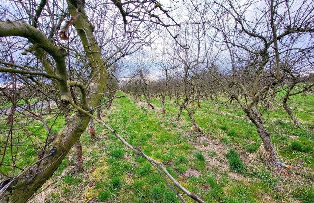 Motycz, - 30 ar - blisko szkoły, do wydzielenia