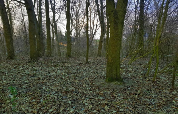 Kocianów - działka leśna - 33 ar