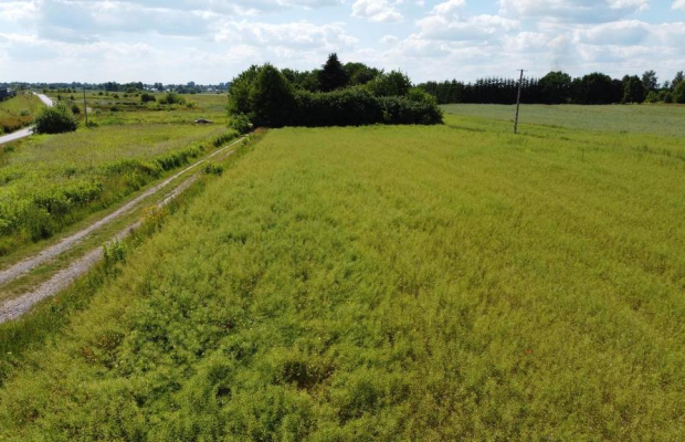 Snopków, 74ar, Gmina Jastków, Media