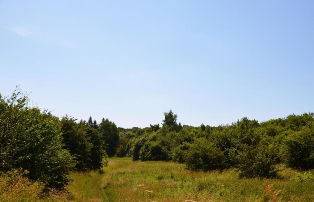 Działka rolno-budow. z szybkim dojazdem do Lublina