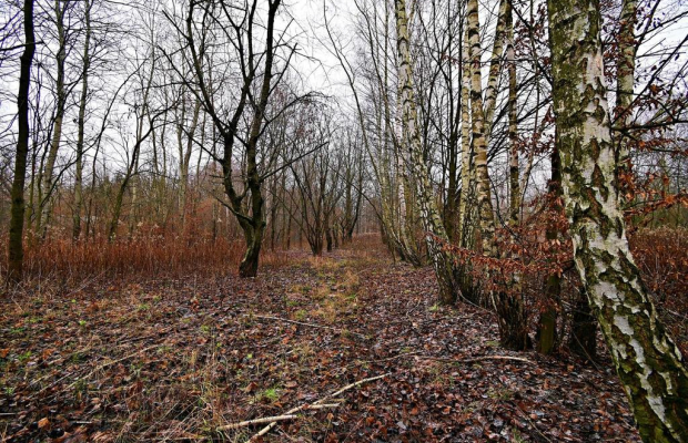 95 arów pod Kazimierzem Dolnym