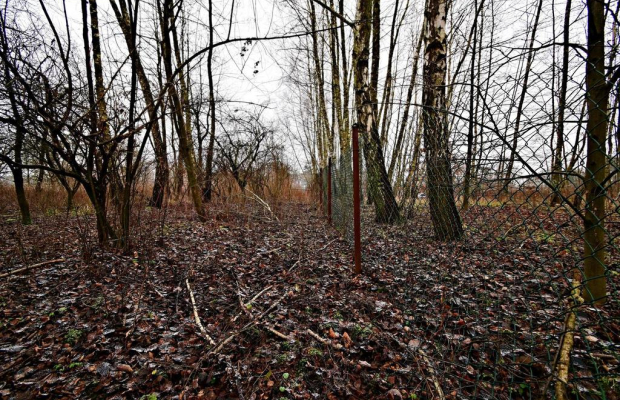 95 arów pod Kazimierzem Dolnym