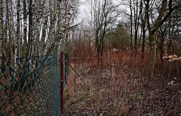95 arów pod Kazimierzem Dolnym