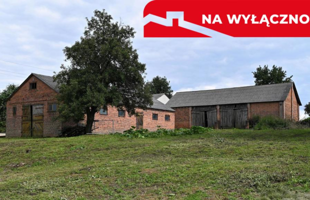 Radomirka - dom i budynki gosp. + ponad 1ha gruntu