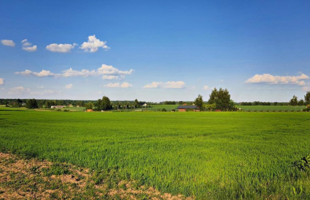 Działka 30ar nieopodal Lublina - Miłocin