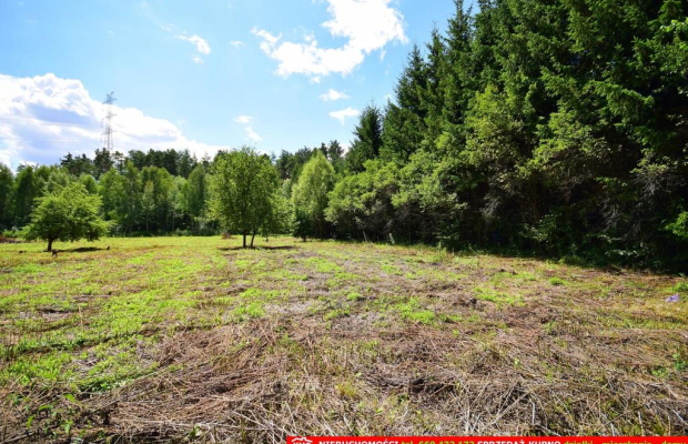 Pliszczyn, działka do wydzielenia 30-50a, rzeka.