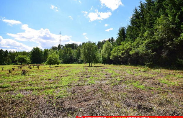 Pliszczyn, działka do wydzielenia 30-50a, rzeka.
