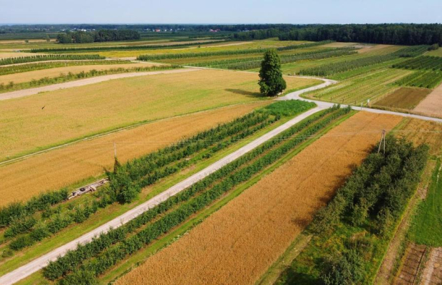 Atrakcyjne siedlisko 53 ar ziemi pod Kazimierzem