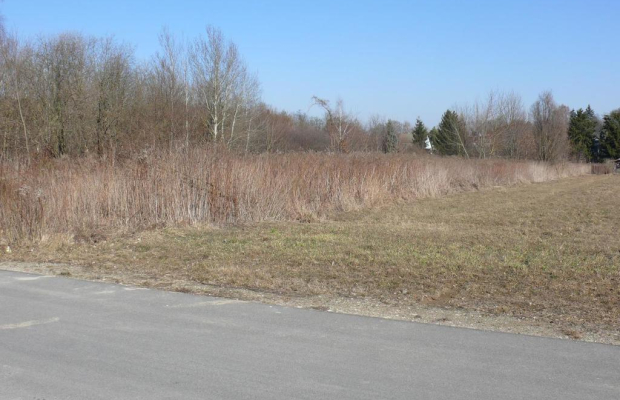 Działki budowlane w Nałęczowie.