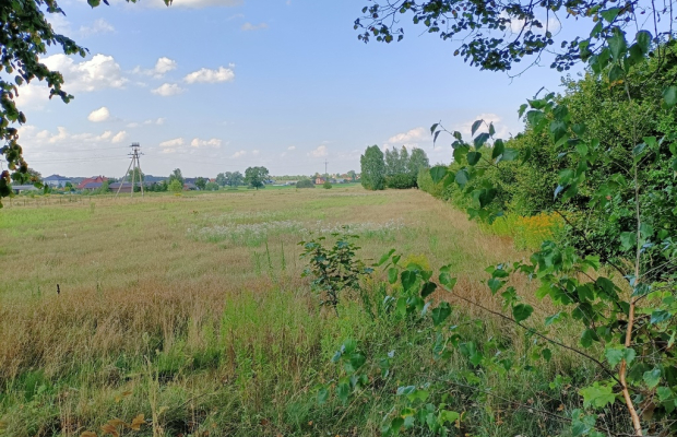 Działka 1,63 ha pod zabudowę w gm. Lubartów.