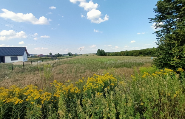 Działka 1,63 ha pod zabudowę w gm. Lubartów.