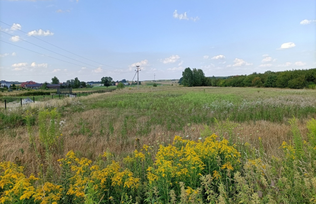 Działka 1,63 ha pod zabudowę w gm. Lubartów.