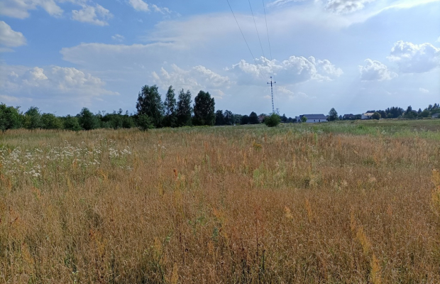 Działka 1,63 ha pod zabudowę w gm. Lubartów.