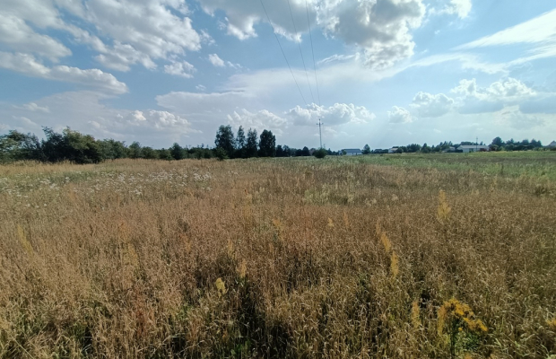 Działka 1,63 ha pod zabudowę w gm. Lubartów.