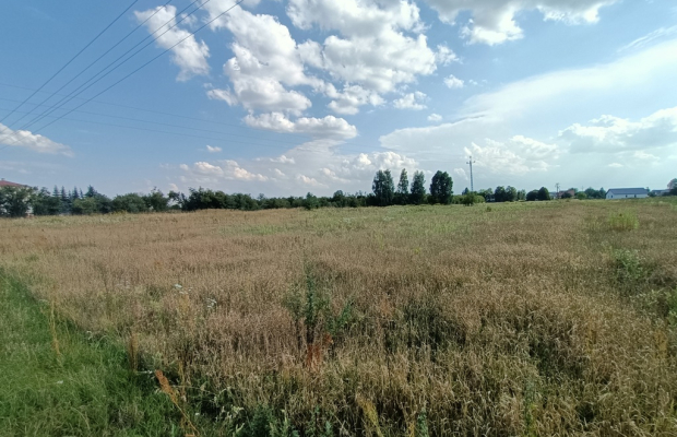 Działka 1,63 ha pod zabudowę w gm. Lubartów.