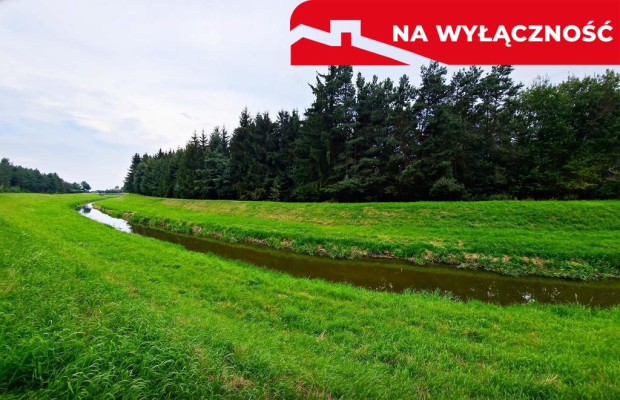 Łąki przy kanale - częściowo pod wydobycie torfu!!