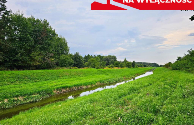 Łąki przy kanale - częściowo pod wydobycie torfu!!