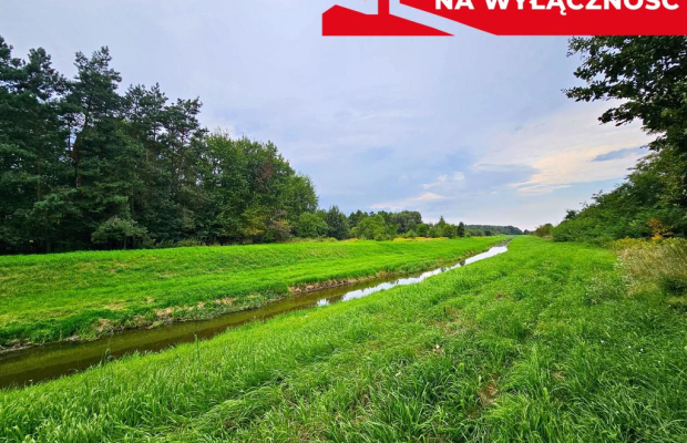Łąki przy kanale - częściowo pod wydobycie torfu!!