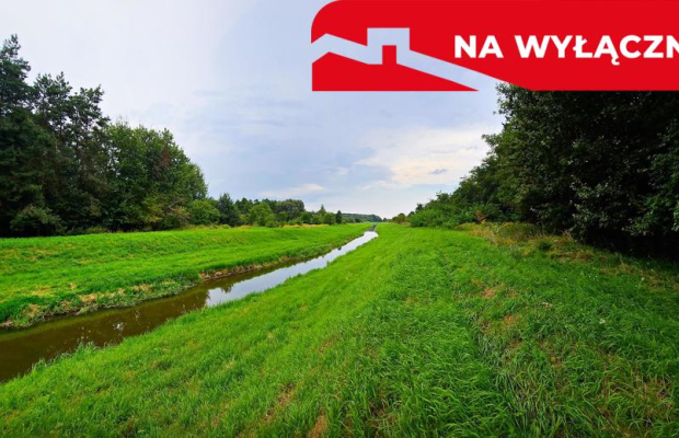Łąki przy kanale - częściowo pod wydobycie torfu!!