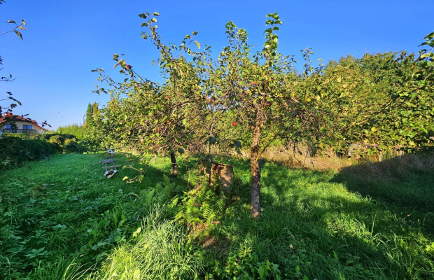Działka pod dom jednorodzinny lub bliźniaka -Smugi