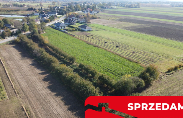 Działka budowlana Krasnystaw ul. Kościuszki 42,8ar