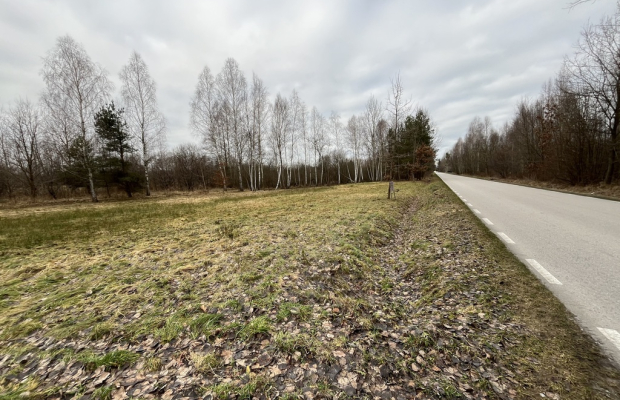 Działka 2600 m2 z WZ w Helenowie gm. Pionki.