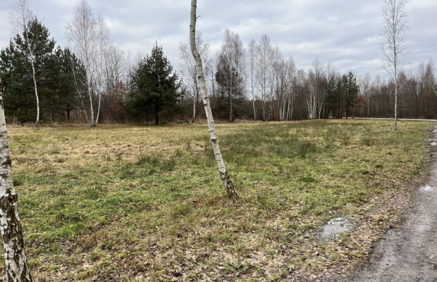 Działka 2600 m2 z WZ w Helenowie gm. Pionki.