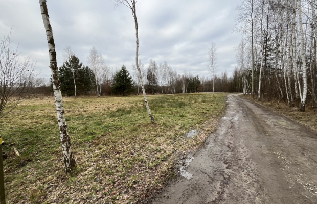 Działka 2600 m2 z WZ w Helenowie gm. Pionki.