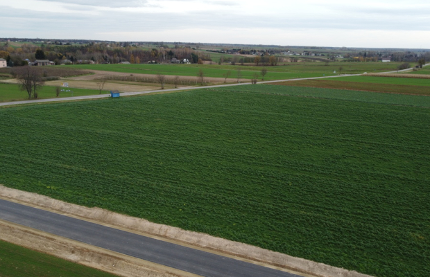 Działka, Zalesie, Wilkołaz, 11 ar, budowlana