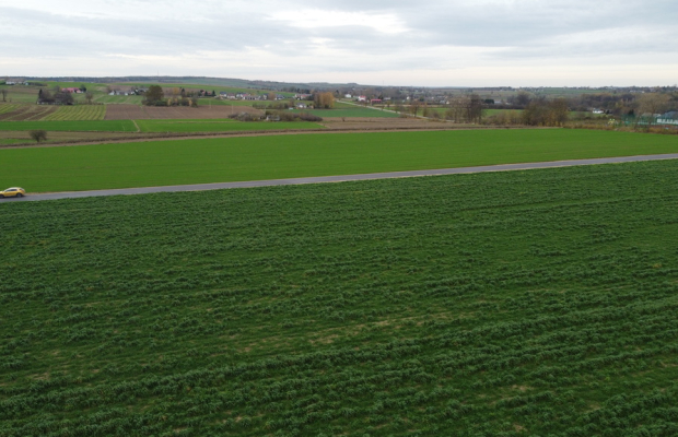 Działka, Zalesie, Wilkołaz, 11 ar, budowlana