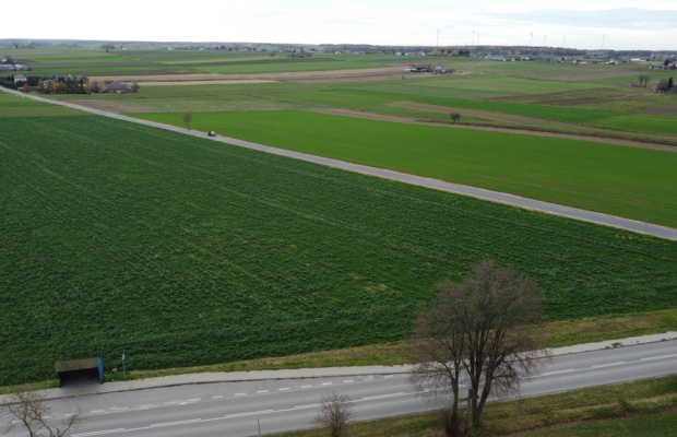 Działka, Zalesie, Wilkołaz, 11 ar, budowlana