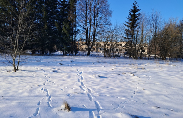 Budynek pod Dom Seniora