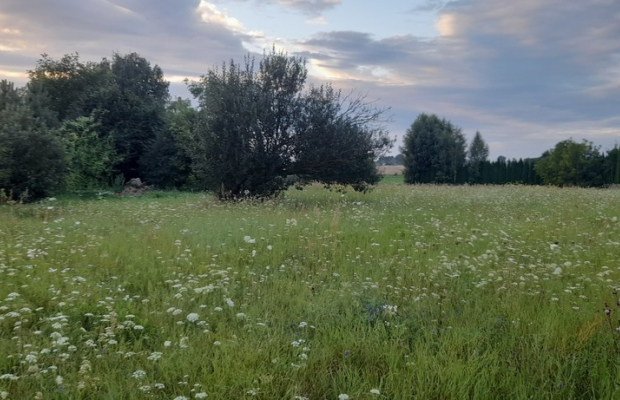 Starościce - działka budowlana