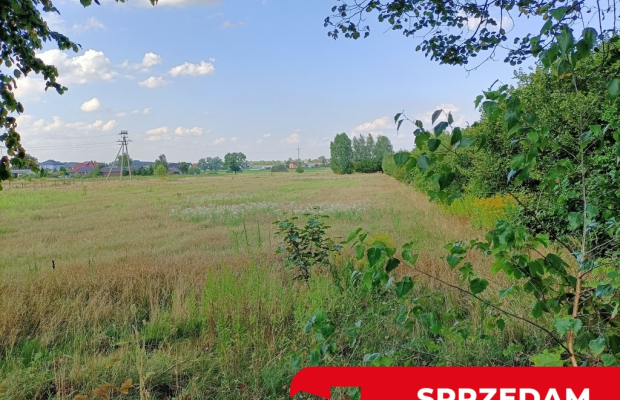 Dwie działki budowlane w Nowodworze gm.  Lubatów.