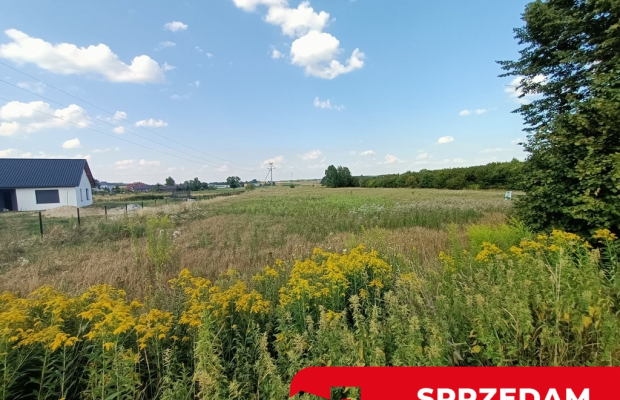 Dwie działki budowlane w Nowodworze gm.  Lubatów.