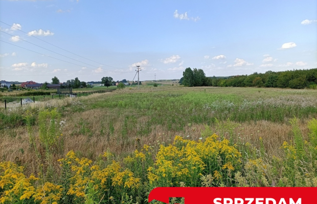 Dwie działki budowlane w Nowodworze gm.  Lubatów.