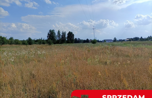 Dwie działki budowlane w Nowodworze gm.  Lubatów.