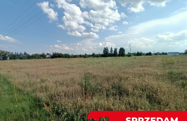 Dwie działki budowlane w Nowodworze gm.  Lubatów.