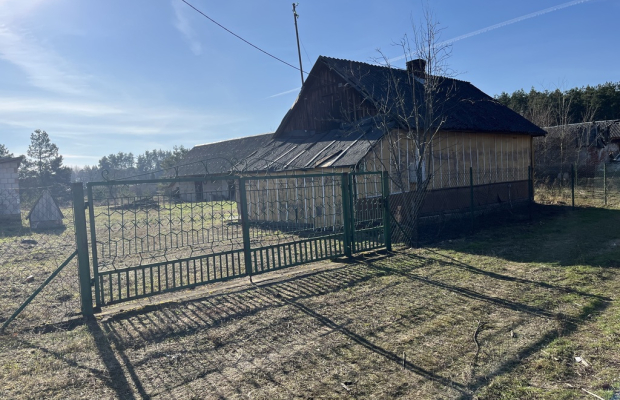 Dom drewniany na działce 800 m2 w Chotczy.