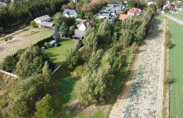 Praktyczne wymiary,zaciszna lokalizację, dużo ziel