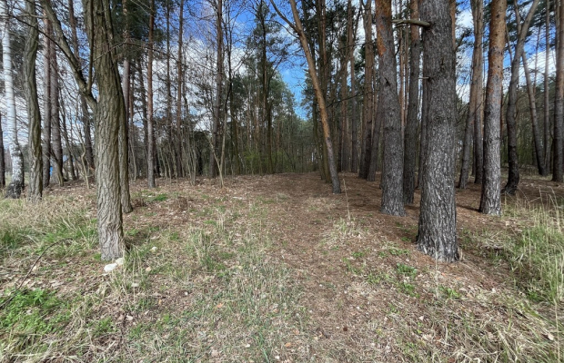 Atrakcyjna działka 2618 m2 w Oblasach-Księżę.